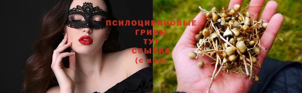 дживик Наволоки