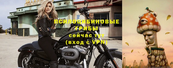 спайс Надым